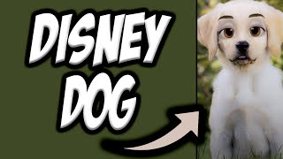 How To Get The Disney Dog Filter On Snapchat 👻| Disney Dog Filter TikTok | Disney Dog Snapchat screenshot 5