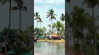 Mangrove Island, Paravoor Kerala 🌏🏄🏻‍♂️🍃#travel #trip #touristplace #kollam #kerala #mangrove