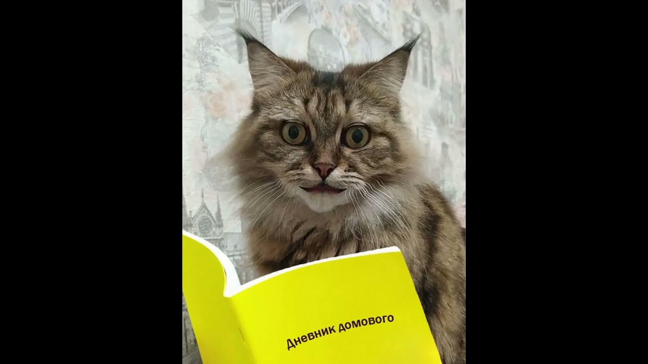 Записки Домового Купить Книгу