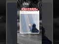 未知の生物発見w #shorts#tiktok#Twitter#おもしろ#お笑い#おすすめ#未確認生命体 #未確認領域 #uma #面白い#おもしろ動画#爆笑#バズれ