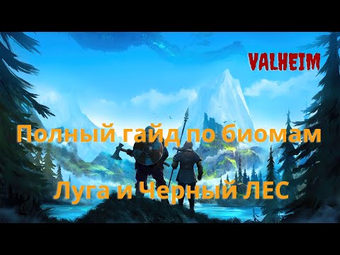 Valheim | Валхейм - полный гайд по биомам Луга и Черный лес!