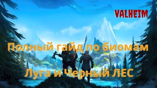 Valheim | Валхейм - полный гайд по биомам Луга и Черный лес!