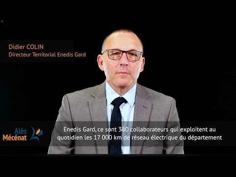 Didier Colin, Directeur territorial Enedis Gard