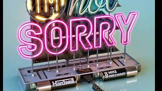 Hardwell & Mike Williams — I'm Not Sorry