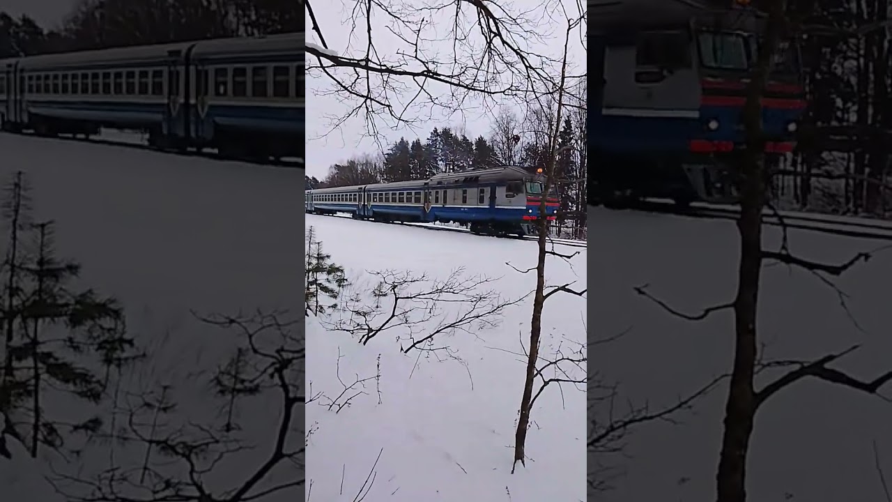 ДР1А 325 на Брест