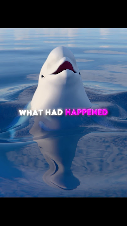 Best Beluga Ever 🐋