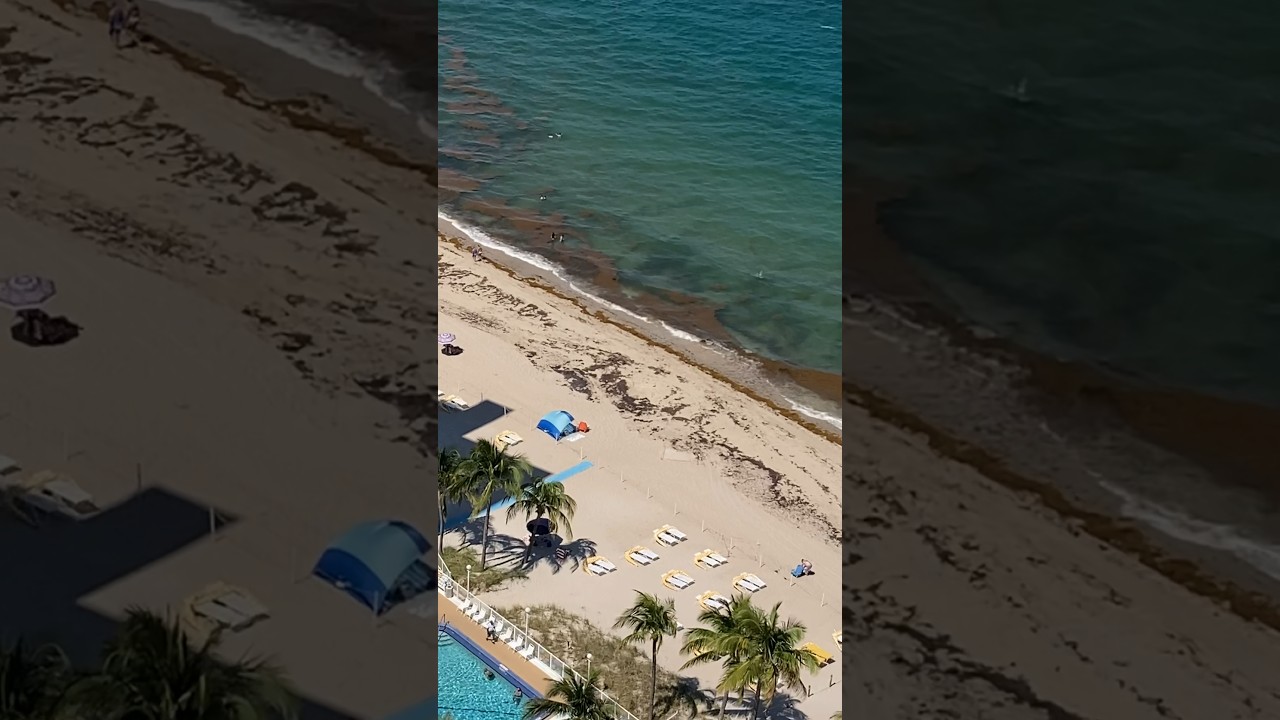 Beware Beach Health Risk 