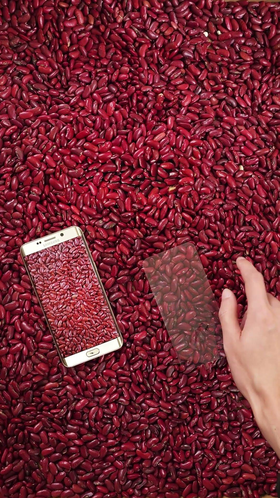 The world's first screen manufacturer is confirmed! How long will it take for domestic screens to