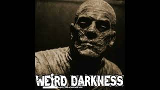 MUMMIFIED ALIVE? | They Ate Tree Bark, Climbed Into a Box, and Waited to Die!