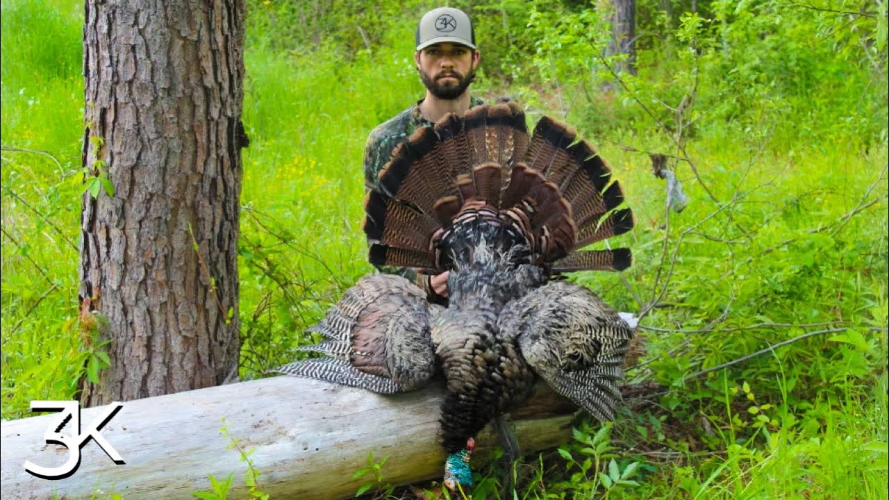 MISSISSIPPI TURKEY HUNTING AFTERNOON LONG BEARDS IN OUR LAP YouTube