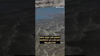 You Can’t Sink Here! 😳 Dead Sea Mystery Explained