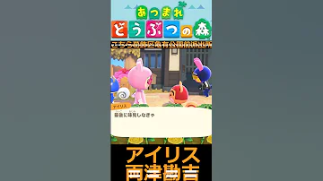 ちっくしょ 料理 なんてこりごりだぁ Part71 By 両津勘吉 アイリス あつまれどうぶつの森 こちら葛飾区亀有公園前派出所 