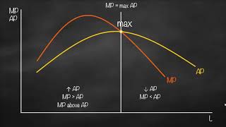 Marginal Product vs Average Product