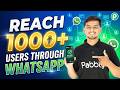 Reach 1000+ Users with WhatsApp Broadcast Instantly