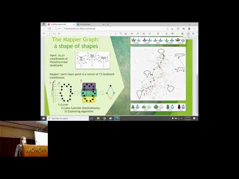 Using Mapper to Reveal Morphological... - Sarah Percival - BioVis - Abstract - ISMB 2022