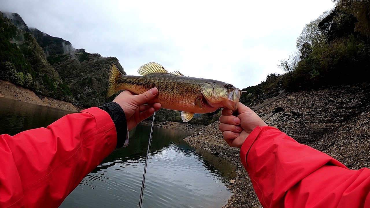 2021 Spring Bass Fishing Trip in JAPAN, Day 1 Reservior in Ehime Pref./Du lịch ở Nhật Bản để câu