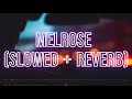 Melrose Iann Dior Slowed Reverb Tiktok Remix With Lyrics mp3