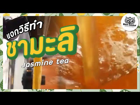 สูตรชงชามะลิใส ชามะลิกลิ่นหอม เมนูสดชื่นดับคลายร้อน