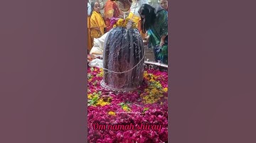 Mahadev Abhishek ujjain #status #whatsapp Mahakal Aarti Ujjain #status #bholenath #shiv #bholebaba 🕉