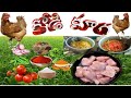 Kodi kura   my first cookingleninlstv villege vantalu program