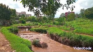 The Nairobi River The Year 2024 Nairobi Kenya Onjalo Webcam