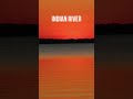 Indian River Sunset #shorts