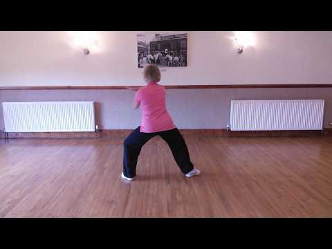 TAI CHI: Chen style Beginners  9 Form, Rear view