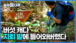 발 한 번 잘못 디디면 목숨을 잃는 위험한 상황! 해발 1400m, 온몸이 탈진 상태에 이른 이들의 7일간의 버섯 채취 여정│극한직업│#골라듄다큐