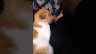 КУЗЯ В ГЛАВНОЙ РОЛИ