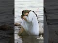 ايوي طارش _ إن كان قلبك قنعني mp3