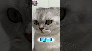 Benim Kakam Nereye Gitti 🤪😂 #shorts #keşfet