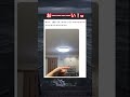 完全に騙されたw #shorts#tiktok#Twitter#おもしろ#お笑い#おすすめ#鳥 #騙された #面白い#おもしろ動画#爆笑#バズれ