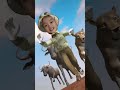 គោ ខ្លា ក្របី រត់តាមអូនហើយ 😂