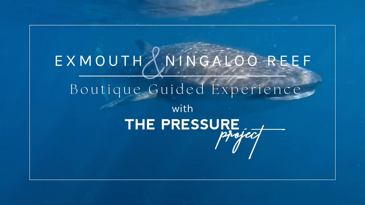 Exmouth & Ningaloo Reef Boutique Guided Experience - YouTube