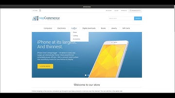 Example use  nopCommerce