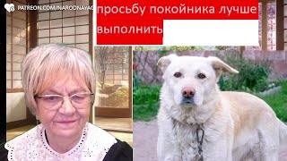 Мистика. Просьбу покойника лучше выполнить. Иначе сам покойником станешь.