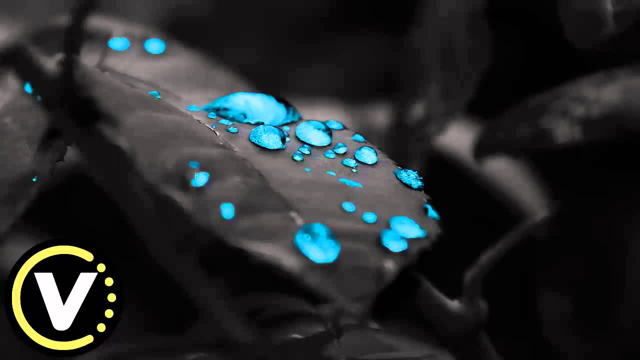 [Trap] Frank Sinatra vs Keanu Jingle Bells (New Year Trap Remix