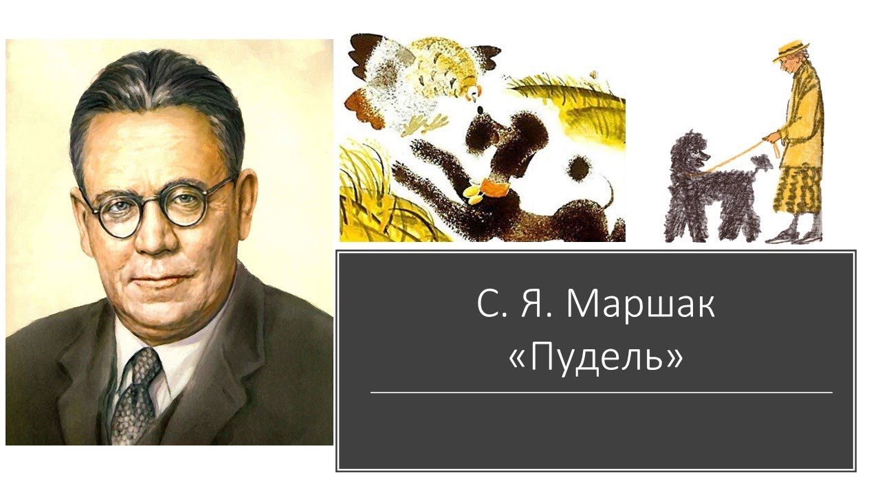 Поэзия в старшей группе. Произведение Самуила Яковлевича Маршака пудель. Пудель Маршак. Стих Маршака пудель. Чтение стихотворения с Маршака пудель старшая группа.