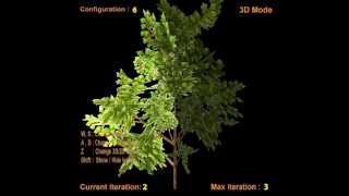 L-system Tree