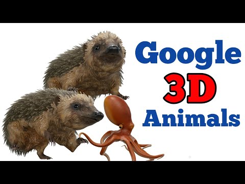 Bringing the Animal Kingdom to Life with Google 3D #Google3DAnimals #