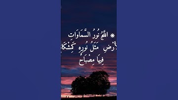 #تلاوات #quranquotes #quranic #quran #muslim #foryou #fyp #fypシ
