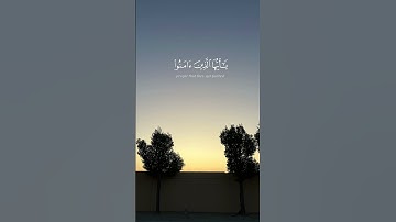 (إن الله وملائكته يصلون على النبي) سورة الأحزاب آية ٥٦ فضيلة الشيخ#عبدالرحمن_السديس#قرآن#راحة_نفسية