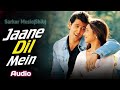 Jaane Dil Mein Movie Mujhse Dosti Karoge 2002 Mp3 Song Sung By Sonu Nigam Lata Mangeshkar