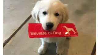 Masakali 2.O original full song new song Thumb