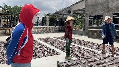 Vựa khô cá Sặc bổi ngon và nổi tiếng nhất Cà Mau| ÁNH KUA