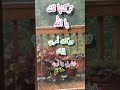 تركتها لك يارب العالمين تركتها لك يارب العالمين