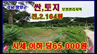 물번034번, 경남,함양에 큰 밭2.164평 젤로 싼 토지매매합니다,평당,6만5.000원에 급매매 합니다,전지인접,평편한 토지입니다,도로 접, 주변시세이하,지리산의 정기를 받는 땅