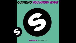 Смотреть клип Quintino - You Know What (Leroy Styles Remix)