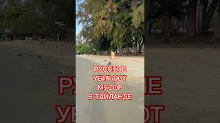 РУССКИЕ ЗАНЯЛИСЬ УБОРКОЙ В ТАЙЛАНДЕ #мухомор #микродозинг #shorts  Русские Впереди🌴🍄🚀