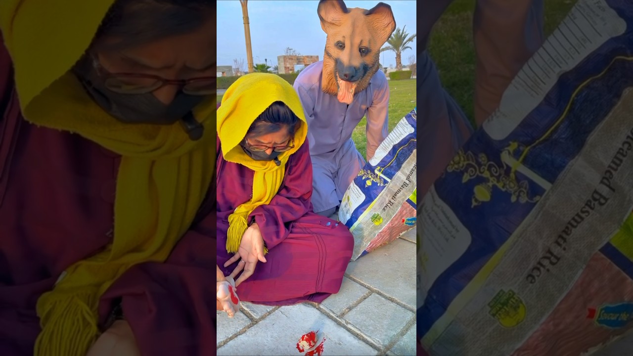 Doggy 🐕 Ne Larki Ki Help Ki 😳  